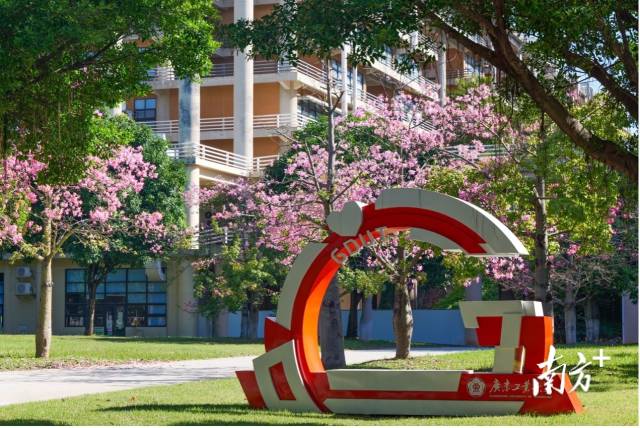 线上买球官网(中国)官方网站校园图景。受访者供图