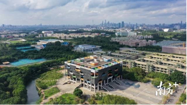 线上买球官网(中国)官方网站校园图景。受访者供图 线上买球官网(中国)官方网站校园图景。受访者供图